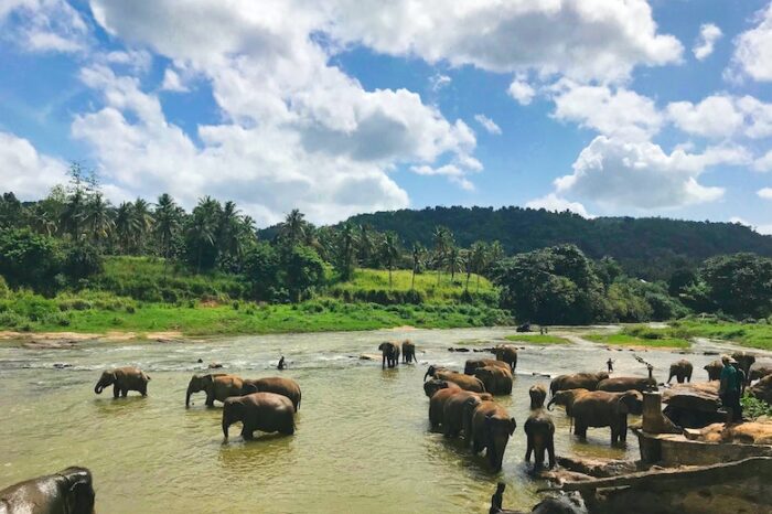 Srilanka